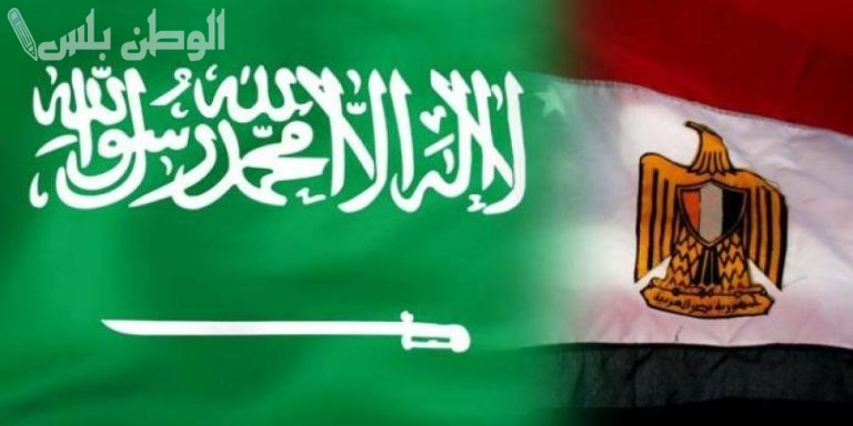البرلمان المصري يقر اتفاقية حماية الاستثمارات مع السعودية لتعزيز الشراكة الاقتصادية وضمان تدفق رؤوس الأموال
