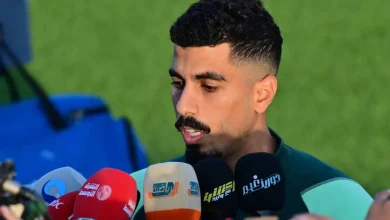 علي لاجامي