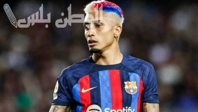 البرازيلي رافينيا دياز