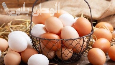 أسعار البيض الأبيض والاحمر الأربعاء