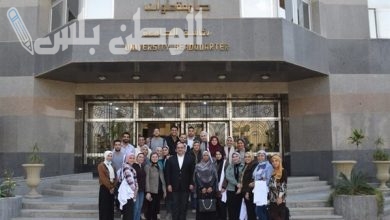 الوظائف في جامعة حلوان