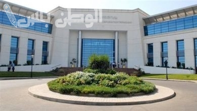 جامعة مصر للمعلوماتية