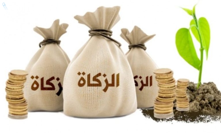 الموعد المناسب لإخراج زكاة عيد الفطر… ومقدار الزكاة في السعودية 1446