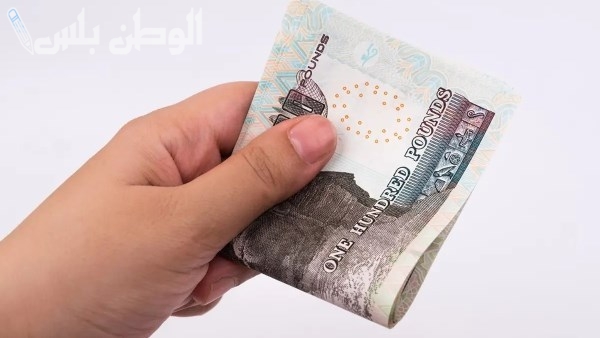 متى يبدأ صرف معاشات شهر مارس 2025 في مصر؟ الهيئة القومية للتأمين الاجتماعي تعلن التفاصيل الكاملة
