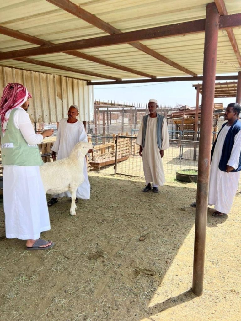 إطلاق حملات توعوية في مكة المكرمة لموسم الحج وعيد الأضحى