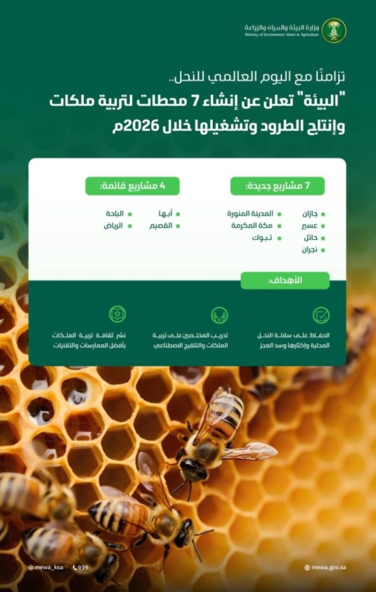 إنشاء 7 محطات لتربية ملكات النحل وإنتاج الطرود عام 2026م بحسب وزارة البيئة