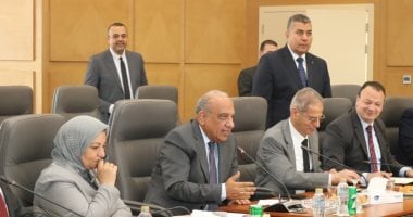 اجتماع وزير الكهرباء مع نائب “روسآتوم” لمتابعة مشروع الضبعة