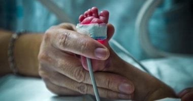 ارتفاع عدد السيدات في سن الإنجاب إلى 31 مليون عام 2032 وفقاً لجهاز الإحصاء