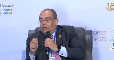 استعدادات مصر لما بعد صندوق النقد: محيى الدين يحذر من التحديات المقبلة