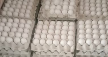 الإصلاح الزراعي يطرح بيض المائدة للمواطنين بسعر 115 جنيها للطبق