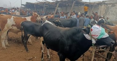 التأمين متناهى الصغر يمنح تعويضات للمواشي والدواجن