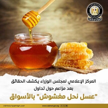 «الحقائق الكاملة» حول مزاعم عسل النحل المغشوش في الأسواق من مجلس الوزراء