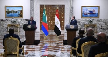 الرئيس السيسى يؤكد: الاتفاق مع عثمان غزالى حول الحفاظ على المواقف الأفريقية الموحدة