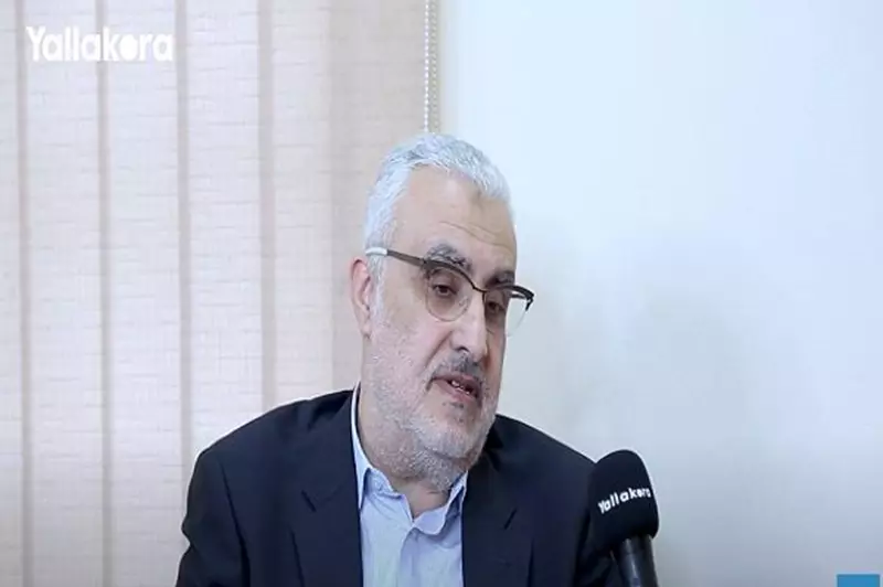 الزمالك يؤكد تواصله مع فيفا لرفع إيقاف القيد في قضيتي بوطيب وباتشيكو