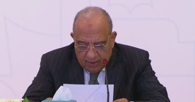 انتهاء كهرباء جنوب القاهرة من 280 كيلومتراً من الكابلات لمشروع مستقبل مصر