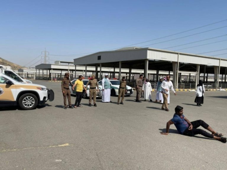بيئة العاصمة المقدسة تطبق فرضية تزاحم بسوق المواشي