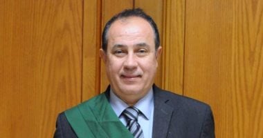 تأجيل محاكمة 17 متهما في “خلية العجوزة الثانية” إلى 27 يوليو