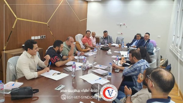 تحذيرات بيطرية من تطاول على الأعضاء وسط أزمة رخص الكلاب