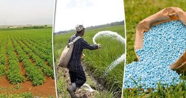 تراجع حاد بقطاع الموارد الأساسية بالبورصة إثر تقليص إمدادات الغاز لمصانع الأسمدة