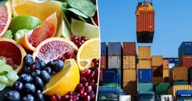 تصدير 5040 شحنة غذائية إلى 190 دولة خلال أسبوع