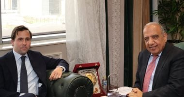 تعاون جديد بين وزيري الكهرباء والتجارة الخارجية السويديين لتعزيز العلاقات الاقتصادية