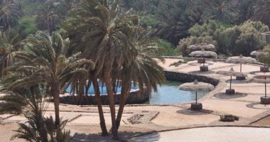 تعاون مثير بين غرفة الفنادق وكلية السياحة في جامعة مدينة السادات