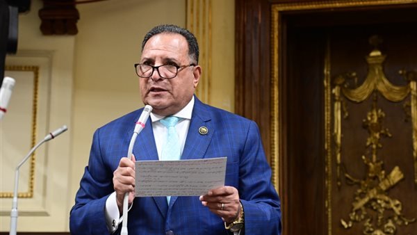 تعديلات قوانين الانتخابات تعزز التعددية السياسية بحسب أبو هميلة