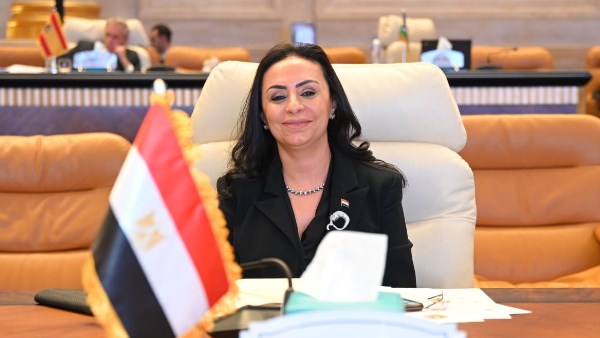 تقرير مثير: حوكمة الأسر البديلة تسعى لاختيار الأفضل لكفالة الأطفال
