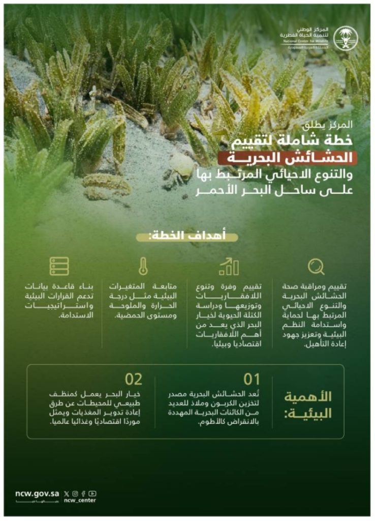 خطة جديدة لمراقبة الحشائش البحرية تتبناها الحياة الفطرية على ساحل البحر الأحمر