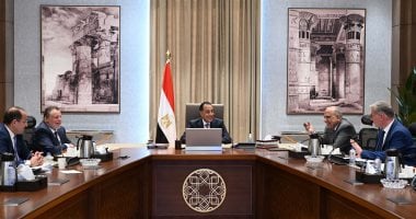خطة رئيس الوزراء لتوفير الوقود لمحطات الكهرباء قبل الصيف