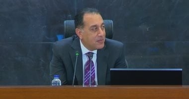 رئيس الوزراء يؤكد: المنطقة الصناعية الإماراتية تمثل نقطة تحول في التعاون الاستثماري