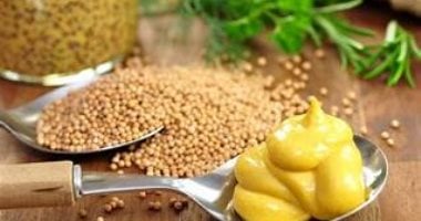 زراعة المستردة تفضل مناخًا جافًا