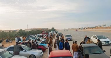 زيادة تراخيص السيارات الزيرو والمستعملة خلال مارس 2025 في مصر