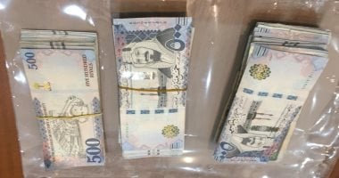 سعر الريال السعودي اليوم يرتفع إلى 13.35 جنيه للشراء