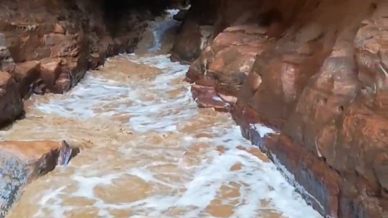 سياح أجانب يتعرضون لسيول قوية في الشوبك دون دليل سياحي