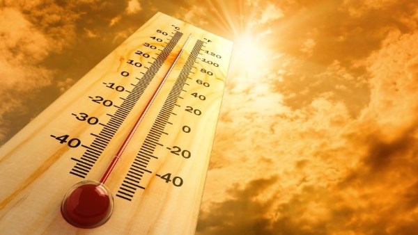 طقس حار غداً في القاهرة والوجه البحري مع اعتدال ليلي متوقع