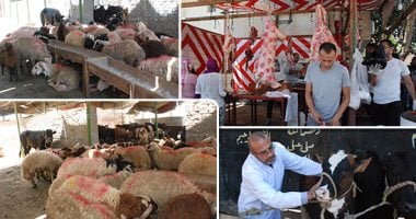 غرامات الأضاحي في الشوارع تصل إلى 10 آلاف جنيه في مصر