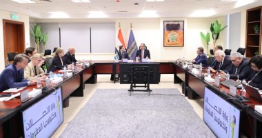 فتح آفاق جديدة للتعاون المصري السويدي في البنية التحتية