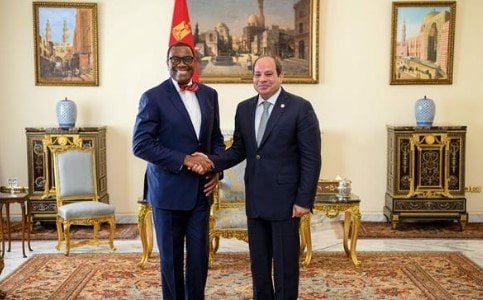 لقاء السيسي ورئيس البنك الإفريقي يعزز التنمية المستدامة في مصر وإفريقيا