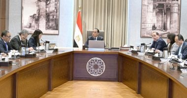 متابعة رئيس الوزراء لأعمال اللجنة المختصة بحوكمة الاستثمارات العامة بالدولة