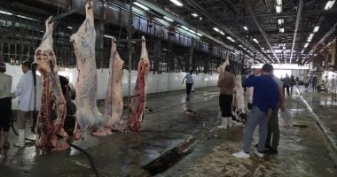 محافظ الجيزة يعلن: الذبح المجاني في المجازر الحكومية بمناسبة العيد