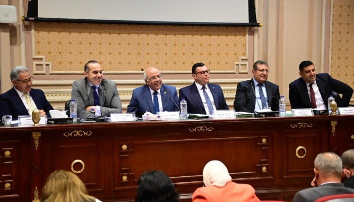 محمود فوزي يعلن: المحكمة الدستورية العليا تصدر أحكامًا جديدة بشأن ملف الإيجار القديم