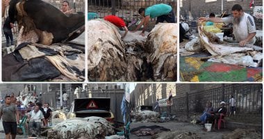 مشاركة قوية للجلود المصرية بـ13 شركة في معرض الصين الدولي يونيو المقبل