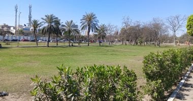 مصر تتوقع طقسًا مائلًا للحرارة غدًا مع أمطار والعظمى بالقاهرة 26