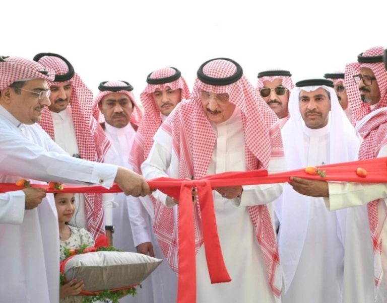 مهرجان المانجو والفواكه الاستوائية الـ(21) ينطلق برعاية أمير جازان