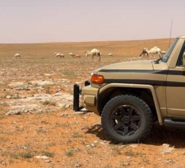 مواطن يخالف نظام البيئة ويُضبط أثناء الرعي في منطقة محظورة