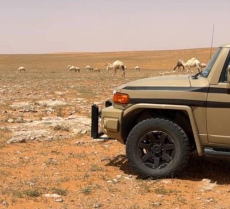 مواطن يخالف نظام البيئة ويُضبط أثناء الرعي في منطقة محظورة