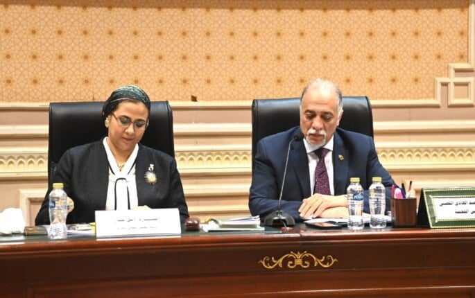 «موافقة النواب» على موازنة المجلس القومي لذوي الإعاقة