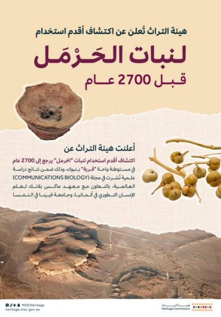 “نبات الحَرْمَل” يكشف عن غنى البيئة والحضارة في الحدود الشمالية