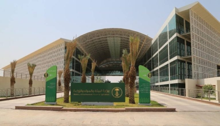 أكثر من 2.2 مليون رأس من الإبل بالمملكة تعكس أهمية الموروث الوطني في تعزيز الأمن الغذائي ودعم الاقتصاد
